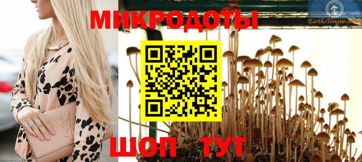 Галлюциногенные грибы Psilocybe  Псилоцибиновые грибы GOLDEN TEACHER  Калач-на-Дону  Вход с VPN 
